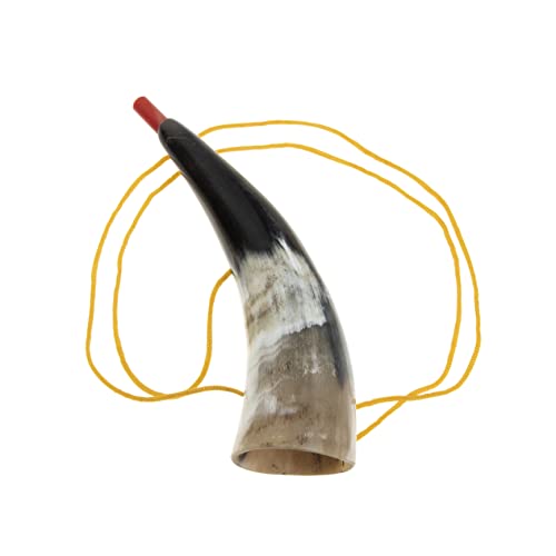 HEMOTON Lustiges Hornspielzeug aus Ochsenhorn Tragbares Viking Horn für Einzigartiger für Outdoor Events und Fanfaren Requisite für Feiern und Spiele HEMOTON Lustiges Hornspielzeug aus Ochsenhorn Tragbares Viking Horn für Einzigartiger für Outdoor Events und Fanfaren Requisite für Feiern und Spiele von HEMOTON