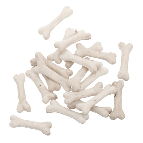 HEMOTON 20stücke Miniatur Knochen Aus Harz Realistische Skelett Dekoration Für DIY Bastelprojekte Halloween Kostüme Und Mikro Landschaften Figurine Für Hunde Und Miniaturszenen von HEMOTON