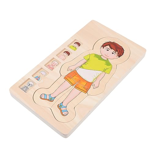 HEMOTON Multilayer Holzpuzzle Körperstruktur Lernspielzeug für Jungen Mädchen Pädagogisches Steckspiel zur Kognitiver Fähigkeiten Tragbares Langlebiges Puzzle HEMOTON Multilayer Holzpuzzle Körperstruktur Lernspielzeug für Jungen Mädchen Pädagogisches Steckspiel zur Kognitiver Fähigkeiten Tragbares Langlebiges Puzzle von HEMOTON