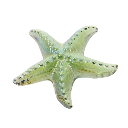 HEMOTON Ornamente Dekorativer Seestern Regaldekor Sterndekor Schlafzimmer Seestern Skulptur Bürodekor Tisch Seestern Statue Zuhause Seestern Figur Seestern Ornament Kristall HEMOTON Ornamente Dekorativer Seestern Regaldekor Sterndekor Schlafzimmer Seestern Skulptur Bürodekor Tisch Seestern Statue Zuhause Seestern Figur Seestern Ornament Kristall von HEMOTON