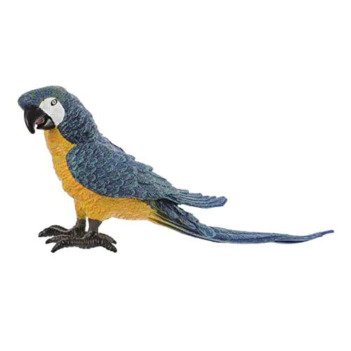 HEMOTON Papagei Modell Spielzeugvögel Nymphensittich Papagei Figur Künstliche Papageien Zur Dekoration Voliere Künstliches Vogelornament Papagei Vogelskulptur Realistischer HEMOTON Papagei Modell Spielzeugvögel Nymphensittich Papagei Figur Künstliche Papageien Zur Dekoration Voliere Künstliches Vogelornament Papagei Vogelskulptur Realistischer von HEMOTON