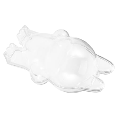 HEMOTON Puppen-schutzhülle Klarsichtbeutel Für Puppen Mini-displaytasche Schutzhülle Für Die Puppe Aufbewahrungskoffer Für Handarbeiten Bastelkoffer Taschendisplay Transparent Acryl von HEMOTON
