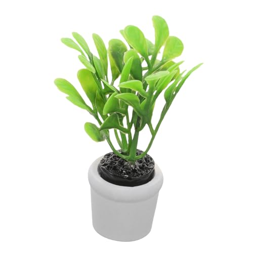 HEMOTON Puppenhaus kleine grüne Pflanzen Schreibtisch Anlage ästhetische Raumdekoration Mini- Micro Plants puppenhauszubehör winzige Pflanzen Miniaturpflanzen künstlich Plastik HEMOTON Puppenhaus kleine grüne Pflanzen Schreibtisch Anlage ästhetische Raumdekoration Mini- Micro Plants puppenhauszubehör winzige Pflanzen Miniaturpflanzen künstlich Plastik von HEMOTON
