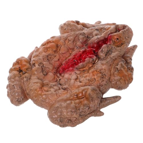 HEMOTON Realistische Kröte Streich Prop Gruselige Halloween Dekoration für Spukhaus und Partys Lebensechte Mahlzeit Box mit Zufälligen Blutstains für Scherze und Horrorstimmung HEMOTON Realistische Kröte Streich Prop Gruselige Halloween Dekoration für Spukhaus und Partys Lebensechte Mahlzeit Box mit Zufälligen Blutstains für Scherze und Horrorstimmung von HEMOTON