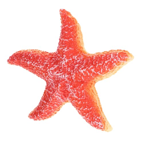 HEMOTON Realistisches Seastar Modell aus Robustem Material Künstliches Tiermodell für Kinderzimmer Deko Langlebig und Leicht Platzierbar für Lernspielzeug und Dekoration HEMOTON Realistisches Seastar Modell aus Robustem Material Künstliches Tiermodell für Kinderzimmer Deko Langlebig und Leicht Platzierbar für Lernspielzeug und Dekoration von HEMOTON