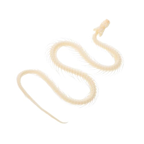 HEMOTON Schlangenskelett-Exemplar Knochen Tierskelett-Exemplar Skelett Tier Schlangenknochen-Exemplar Echtes Exemplar Schlangenskelett Halloween Skelett Schlange Beige HEMOTON Schlangenskelett-Exemplar Knochen Tierskelett-Exemplar Skelett Tier Schlangenknochen-Exemplar Echtes Exemplar Schlangenskelett Halloween Skelett Schlange Beige von HEMOTON