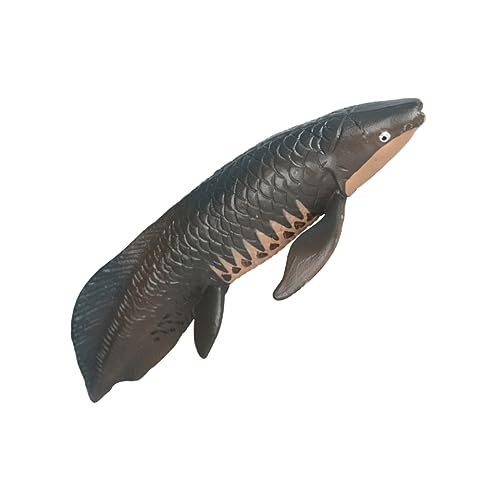 HEMOTON Simulierter Arapaima Simulation von Fischmodellen Meerestiere Spielzeug Kinderspielzeug Spielzeuge Ornament Fischmodell aus Kunststoff lebensechter Pirarucu schmücken Plastik HEMOTON Simulierter Arapaima Simulation von Fischmodellen Meerestiere Spielzeug Kinderspielzeug Spielzeuge Ornament Fischmodell aus Kunststoff lebensechter Pirarucu schmücken Plastik von HEMOTON