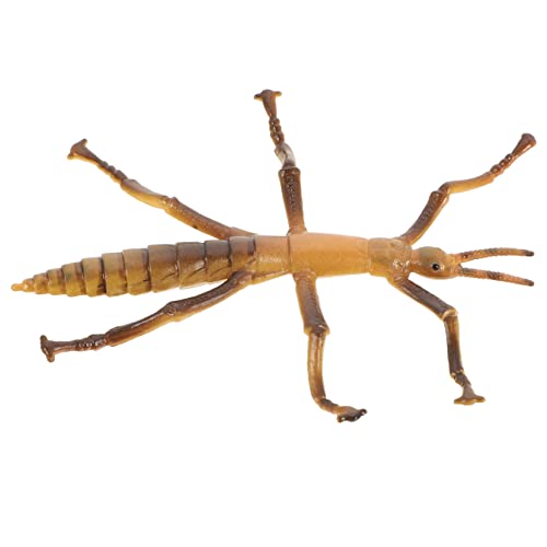 HEMOTON Insektenmodell Spielzeug Realistische Stabheuschrecke Für Kinder Lernspielzeug von HEMOTON
