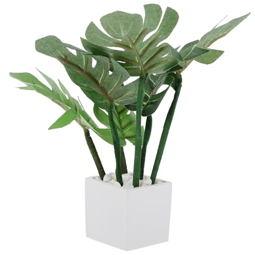 HEMOTON Puppenhaus-Accessoire Miniatur-grünornament Künstliches Bonsai-pflanzenmodell Im Topf HEMOTON Puppenhaus-Accessoire Miniatur-grünornament Künstliches Bonsai-pflanzenmodell Im Topf von HEMOTON