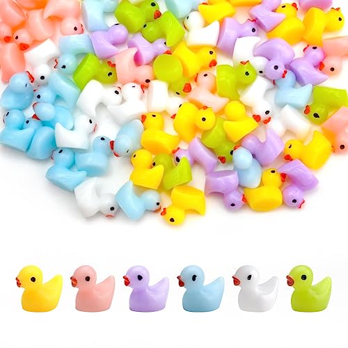 HENGBIRD 120 StüCk Enten Mini Tierfiguren, Mini Enten Figuren Mini Enten Harz Miniatur Enten Mini Resin Ducks Mini Enten für DIY Potting Micro Landschaft Dekorationen Lieferungen (6 Farben) von HENGBIRD