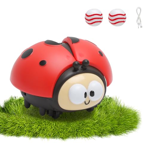 Hängendes Marienkäfer Ballspielzeug,für Kinder,Marienkäfer Ballgebläse,Sinnesspiel für Kinder,Spielzeug Geburtstag,Weihnachten Hängendes Marienkäfer Ballspielzeug,für Kinder,Marienkäfer Ballgebläse,Sinnesspiel für Kinder,Spielzeug Geburtstag,Weihnachten von HENGBIRD