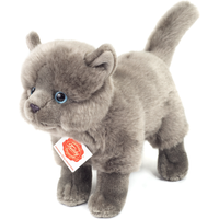 HERMANN TEDDY 91836 Kartäuser Katze stehend 20 cm HERMANN TEDDY 91836 Kartäuser Katze stehend 20 cm von HERMANN TEDDY