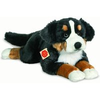 HERMANN TEDDY 92781 Berner Sennenhund liegend 60 cm HERMANN TEDDY 92781 Berner Sennenhund liegend 60 cm von HERMANN TEDDY
