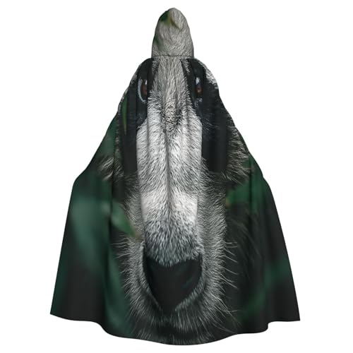 Die Verwirrung der Riesenpandas Hexenkostüm - Horror-Halloween-Kostüm mit Kapuzenumhang für Herren, perfekt für Cosplay und Partys Die Verwirrung der Riesenpandas Hexenkostüm - Horror-Halloween-Kostüm mit Kapuzenumhang für Herren, perfekt für Cosplay und Partys von HERTqwop