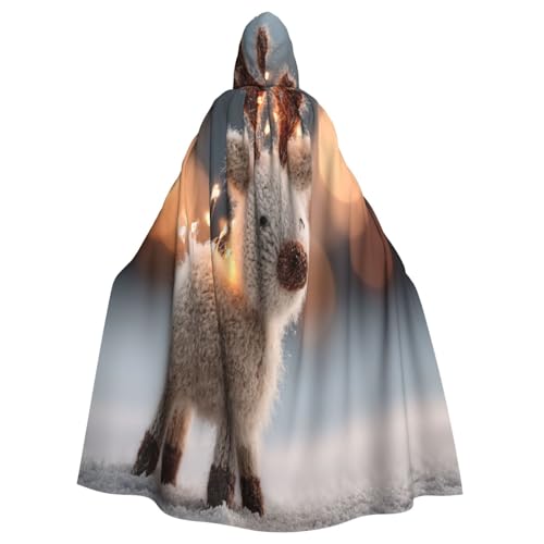 Gestricktes Weihnachtshirsch Hexenkostüm - Horror Halloween Kostüm mit Kapuze Umhang für Herren Perfekt für Cosplay und Partys Gestricktes Weihnachtshirsch Hexenkostüm - Horror Halloween Kostüm mit Kapuze Umhang für Herren Perfekt für Cosplay und Partys von HERTqwop