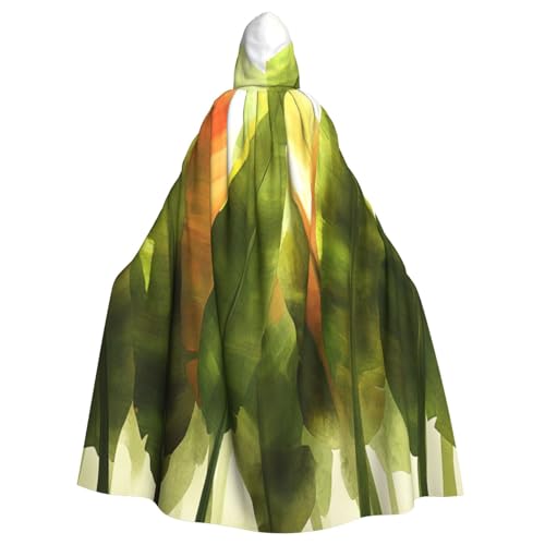 Schöne Blätter Hexenkostüm - Horror Halloween Kostüm mit Kapuze Umhang für Herren, perfekt für Cosplay und Partys Schöne Blätter Hexenkostüm - Horror Halloween Kostüm mit Kapuze Umhang für Herren, perfekt für Cosplay und Partys von HERTqwop