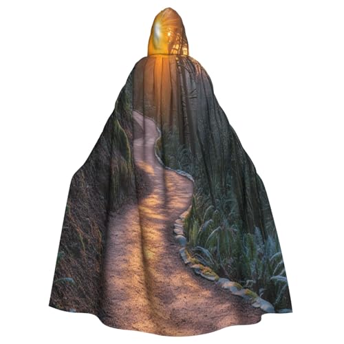 Sonnenuntergang Bergwald Hexenkostüm - Horror Halloween Kostüm mit Kapuze Umhang für Herren, perfekt für Cosplay und Partys Sonnenuntergang Bergwald Hexenkostüm - Horror Halloween Kostüm mit Kapuze Umhang für Herren, perfekt für Cosplay und Partys von HERTqwop