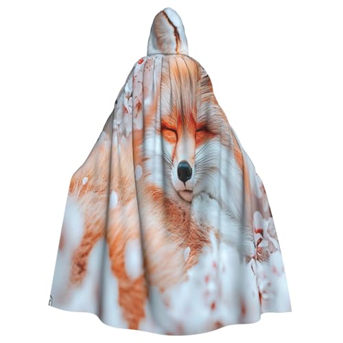 The Fox in the Dream Witch Costume - Horror Halloween Costume with Hooded Cloak for Men, Perfect for Cosplay and Parties von HERTqwop