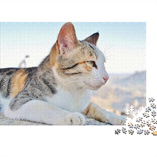 Cat Puzzle 500 Teile,Pet Puzzles Für Erwachsene,Impossible Puzzle,Geschicklichkeitsspiel Für Die Ganze Familie,Legespiel Home Dekoration Puzzles 500pcs (52x38cm) von HESHS