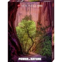 HEYE 299446 Puzzle 1000 Teile Singing Canyon, Power of Nature von HEYE