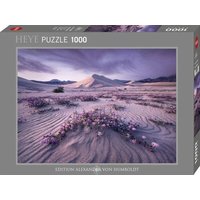 HEYE 299453 Puzzle 1000 Teile Arrow Dynamic, Edition Humboldt von HEYE
