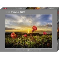 HEYE 300166 Puzzle 1000 Teile Cloudberries HEYE 300166 Puzzle 1000 Teile Cloudberries von HEYE