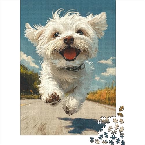 Malteserr Hund Puzzle 1000-teilige Schwer Puzzle Spielzeug Pädagogisches Spiel Impossible Herausforderungsspielzeug Für Erwachsene Kinder 1000pcs (75x50cm) von HEYLInUP