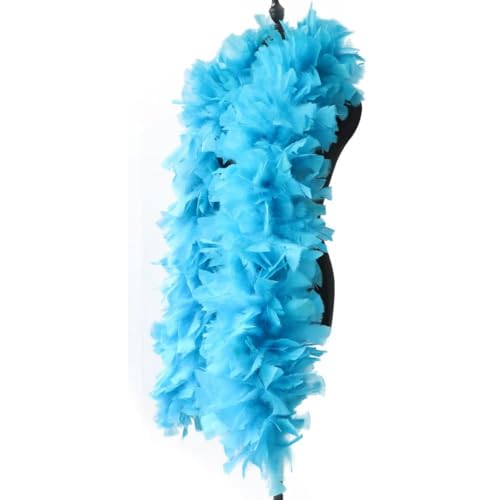 HFNCE Wunderschöne flauschige Boa aus Rosen, natürliche Truthahnfederboa, 2 Meter, Karnevals- und Bühnenkleidung, Nähzubehör, 200 Gramm – Seeblau – 200 Gramm, 2 Mete HFNCE Wunderschöne flauschige Boa aus Rosen, natürliche Truthahnfederboa, 2 Meter, Karnevals- und Bühnenkleidung, Nähzubehör, 200 Gramm – Seeblau – 200 Gramm, 2 Mete von HFNCE