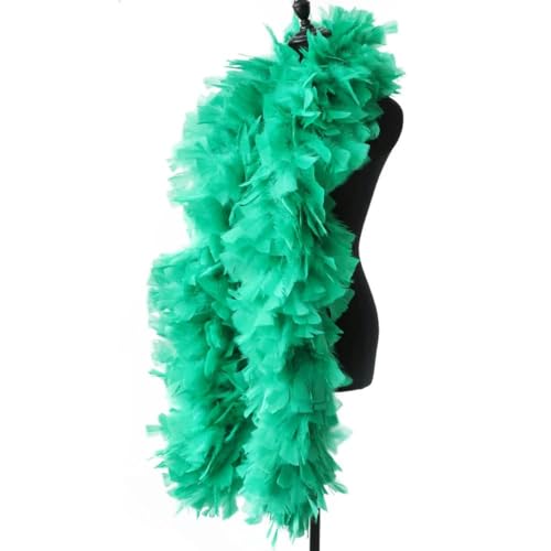 HFNCE Wunderschöne flauschige Boa aus Rosen, natürliche Truthahnfederboa, 2 Meter, Karnevals- und Bühnenkleidung, Nähzubehör, 200 Gramm – grün – 200 Gramm, 2 Meter HFNCE Wunderschöne flauschige Boa aus Rosen, natürliche Truthahnfederboa, 2 Meter, Karnevals- und Bühnenkleidung, Nähzubehör, 200 Gramm – grün – 200 Gramm, 2 Meter von HFNCE