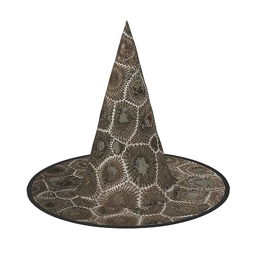 Petoskey Halloween-Hexenhut für Damen, breite Krempe, faltbar, spitz, für Halloween-Party, 2 Stück von HGFVY