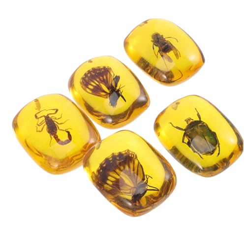 HIAKDOFT 5 Stück Teiliges Insekten Bernstein Anhänger DIY Schmuck Anhänger mit Natürlichen Insekten Langlebig und Farbecht für Schmuckherstellung und Sammlungen HIAKDOFT 5 Stück Teiliges Insekten Bernstein Anhänger DIY Schmuck Anhänger mit Natürlichen Insekten Langlebig und Farbecht für Schmuckherstellung und Sammlungen von HIAKDOFT