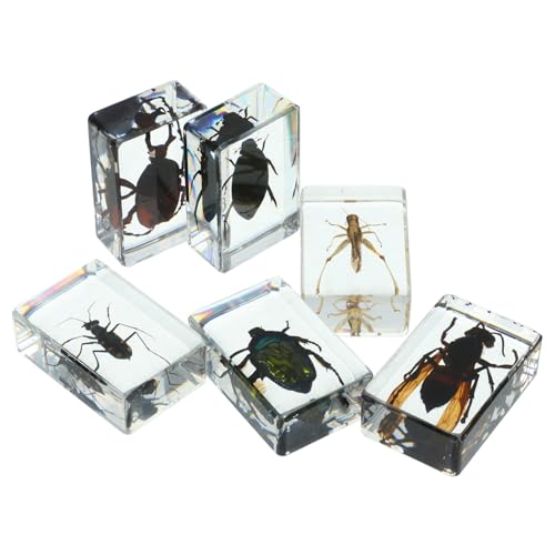 HIAKDOFT 6Stücke Teiliges Insekten Sammelset aus Konservierte Insekten für Wissenschaftsunterricht Dekoration Sammlung für Papierbeschwerer Lernmaterialien HIAKDOFT 6Stücke Teiliges Insekten Sammelset aus Konservierte Insekten für Wissenschaftsunterricht Dekoration Sammlung für Papierbeschwerer Lernmaterialien von HIAKDOFT