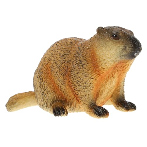 HIAKDOFT Groundhog Modell Realistische Tierfigur Lernspielzeug Für Dekoration Für Schlafzimmer Und Kinderzimmer Leicht Und Beweglich Perfektes Für Tierliebhaber von HIAKDOFT