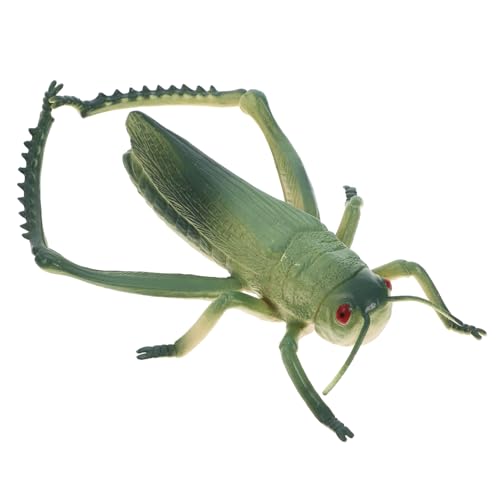 HIAKDOFT Heuschreckenverzierungen Cricket-streich Gefälschte Cricket-Requisiten Fehler Für Mini-tierfiguren Falsche Fehler Ameisenmodell Aus Kunststoff Grün PVC HIAKDOFT Heuschreckenverzierungen Cricket-streich Gefälschte Cricket-Requisiten Fehler Für Mini-tierfiguren Falsche Fehler Ameisenmodell Aus Kunststoff Grün PVC von HIAKDOFT