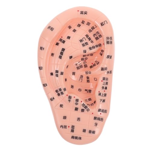 HIAKDOFT Ohrmuschelmodell Ohrenmodell Ohrmodell Für Gummi Rosa HIAKDOFT Ohrmuschelmodell Ohrenmodell Ohrmodell Für Gummi Rosa von HIAKDOFT