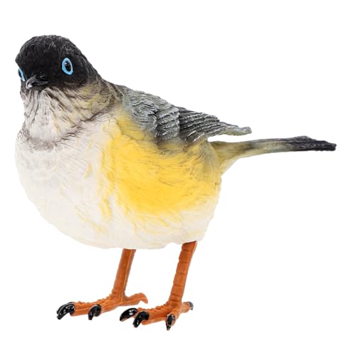 HIAKDOFT Simulationsvogelmodell Simuliertes Schreibtischvogelmodell Simulationsvogel Zum Schmücken Künstlicher Vogel Lebensechter Kleiner Vogel Gefälschte Vogelszene Vogel Desktop HIAKDOFT Simulationsvogelmodell Simuliertes Schreibtischvogelmodell Simulationsvogel Zum Schmücken Künstlicher Vogel Lebensechter Kleiner Vogel Gefälschte Vogelszene Vogel Desktop von HIAKDOFT