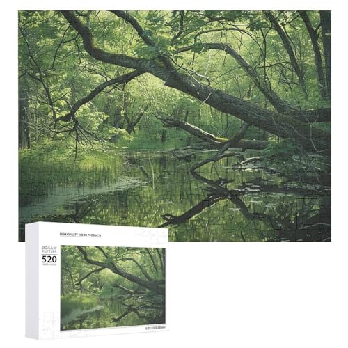 Ein antikes Sumpf-Holzpuzzle für Erwachsene, 520 Teile, schwierige, herausfordernde Puzzles, einzigartiges Denksport-Puzzle, einzigartige Form, fortschrittliche Puzzle, tolle Geschenkidee Ein antikes Sumpf-Holzpuzzle für Erwachsene, 520 Teile, schwierige, herausfordernde Puzzles, einzigartiges Denksport-Puzzle, einzigartige Form, fortschrittliche Puzzle, tolle Geschenkidee von HJKBCV