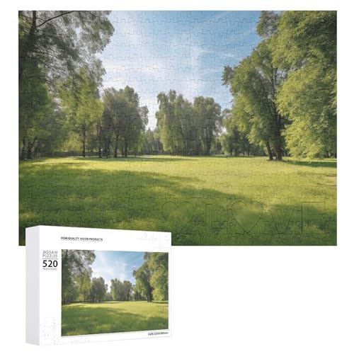 Grünes Gras im Park, Holzpuzzle für Erwachsene, 520 Teile, schwierige, herausfordernde Puzzles, einzigartiges Denksport-Puzzle, einzigartige Form, fortschrittliche Puzzle, tolle Geschenkidee Grünes Gras im Park, Holzpuzzle für Erwachsene, 520 Teile, schwierige, herausfordernde Puzzles, einzigartiges Denksport-Puzzle, einzigartige Form, fortschrittliche Puzzle, tolle Geschenkidee von HJKBCV