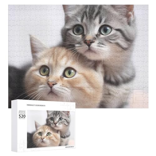 Holzpuzzle für Erwachsene, 520 Teile, schwierige, herausfordernde Puzzles, einzigartiges Denksport-Puzzle, einzigartige Form, fortschrittliche Puzzle, tolle Geschenkidee Holzpuzzle für Erwachsene, 520 Teile, schwierige, herausfordernde Puzzles, einzigartiges Denksport-Puzzle, einzigartige Form, fortschrittliche Puzzle, tolle Geschenkidee von HJKBCV