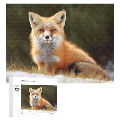 Lustiges Fuchs-Holzpuzzle für Erwachsene, 520 Teile, schwierige, herausfordernde Puzzles, einzigartiges Denksport-Puzzle, einzigartige Form, fortschrittliche Puzzle, tolle Geschenkidee Lustiges Fuchs-Holzpuzzle für Erwachsene, 520 Teile, schwierige, herausfordernde Puzzles, einzigartiges Denksport-Puzzle, einzigartige Form, fortschrittliche Puzzle, tolle Geschenkidee von HJKBCV