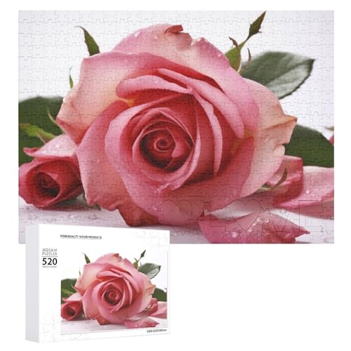 Rosen-Holzpuzzle für Erwachsene, 520 Teile, schwierige, herausfordernde Puzzles, einzigartiges Denksport-Puzzle, einzigartige Form, fortschrittliche Puzzle, tolle Geschenkidee Rosen-Holzpuzzle für Erwachsene, 520 Teile, schwierige, herausfordernde Puzzles, einzigartiges Denksport-Puzzle, einzigartige Form, fortschrittliche Puzzle, tolle Geschenkidee von HJKBCV