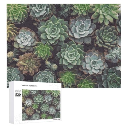 Sukkulenten-Puzzles für Erwachsene, personalisiertes Puzzle, herausforderndes Bild, Holzfotos, Puzzle mit Aufbewahrungstasche, Familientreffen, Puzzle für Hochzeitsgeschenk Sukkulenten-Puzzles für Erwachsene, personalisiertes Puzzle, herausforderndes Bild, Holzfotos, Puzzle mit Aufbewahrungstasche, Familientreffen, Puzzle für Hochzeitsgeschenk von HJKBCV