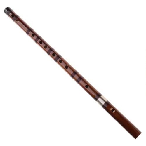 Bambusflöten-Set Abnehmbare Bambusflöte Holzblasinstrument tragbar(D) von HJKLBGT