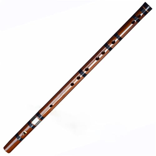 Bambusflöten-Set Bambusflöte Anfänger Instrument Spielen(C) von HJKLBGT