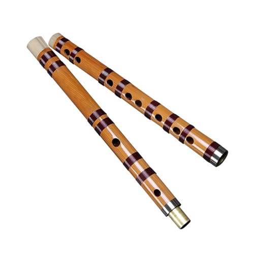 Bambusflöten-Set Bambusflöte mit einem Haken aus weißem Kupfer und Zwei Abschnitten für Anfänger(E) von HJKLBGT