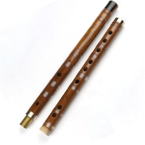 Bambusflöten-Set Handgemachte Bitter Bambus Flöte Musical Instrument Professionelle Mit Für Anfänger(D) von HJKLBGT
