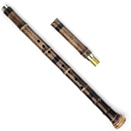 Bambusflöten-Set Holzblasinstrument Lila Bambusflöte Für Anfänger Profi(F) von HJKLBGT