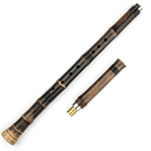 Bambusflöten-Set Holzblasinstrument Lila Bambusflöte Für Anfänger Profi(G) von HJKLBGT