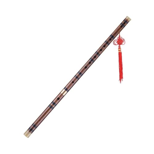 Bambusflöten-Set Professionelle abnehmbare Bambusflöte traditionelles handgefertigtes Holzblasinstrument(D) von HJKLBGT