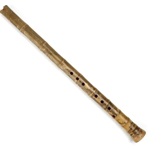 Bambusflöten-Set Professionelles Bambusflöte Holzblasinstrument(Type 2) von HJKLBGT